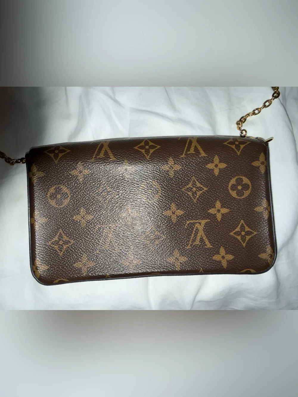 Louis Vuitton classic louis